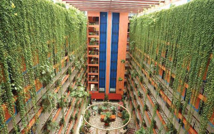 Hotel Acapulco Tortuga Extérieur photo